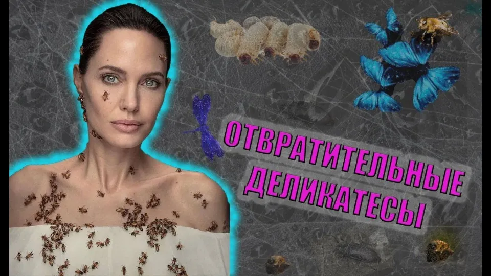 Как узнать интересные факты о самой отвратительной еде в мире